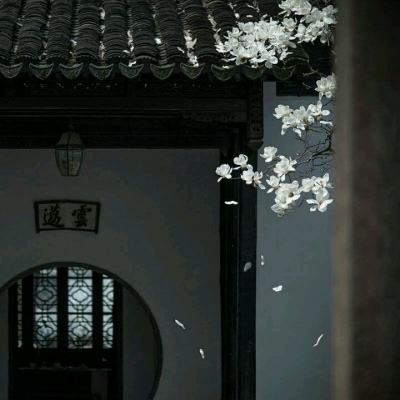 博鳌论坛热议AI智能体元年：爆发背后，风险与治理成新焦点